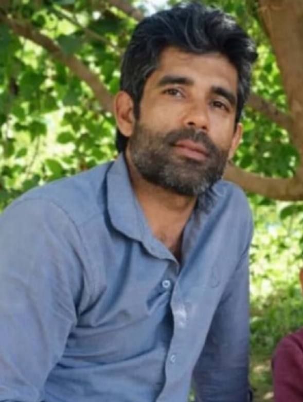 هادی شه‌ولی