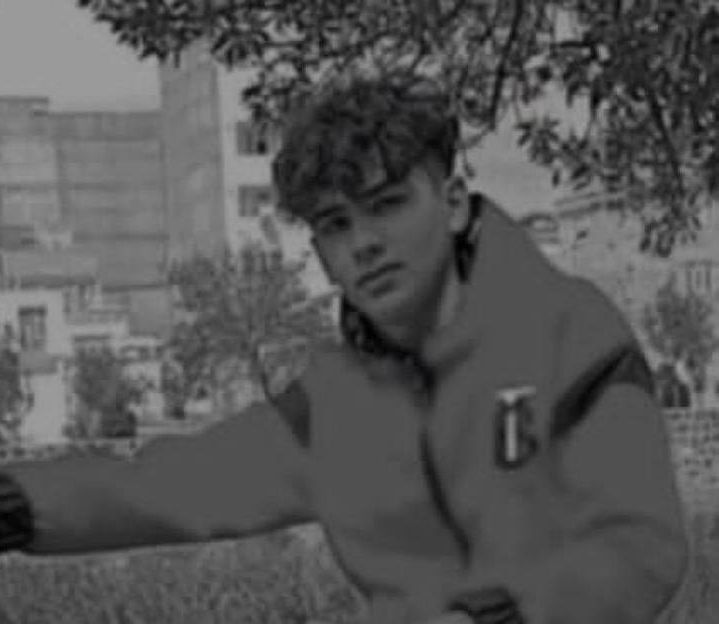 نیما نینوا پور اردبیلی