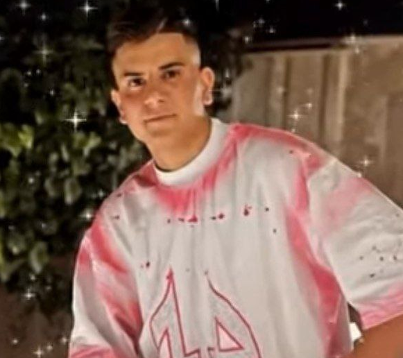 محمدرضا محبوب