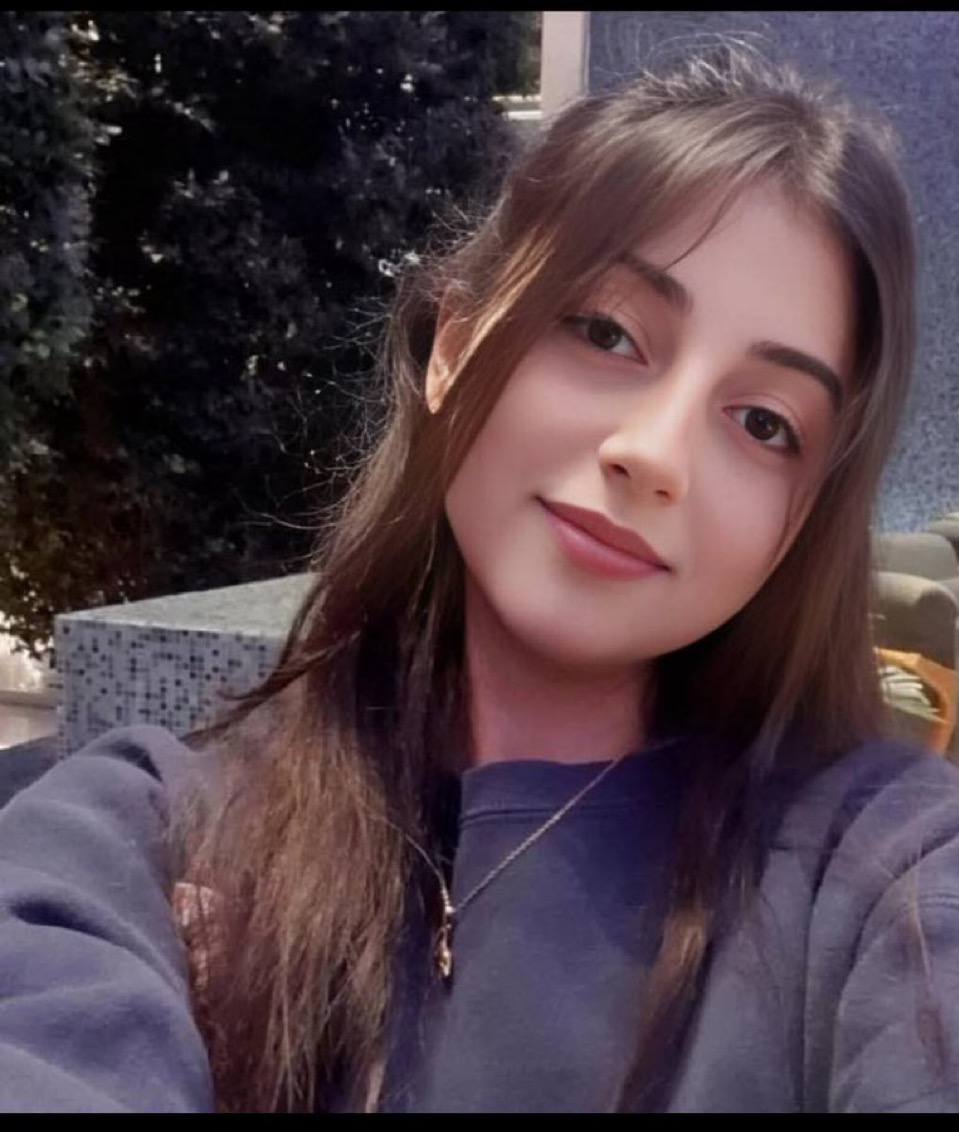 مینا امیرزاده